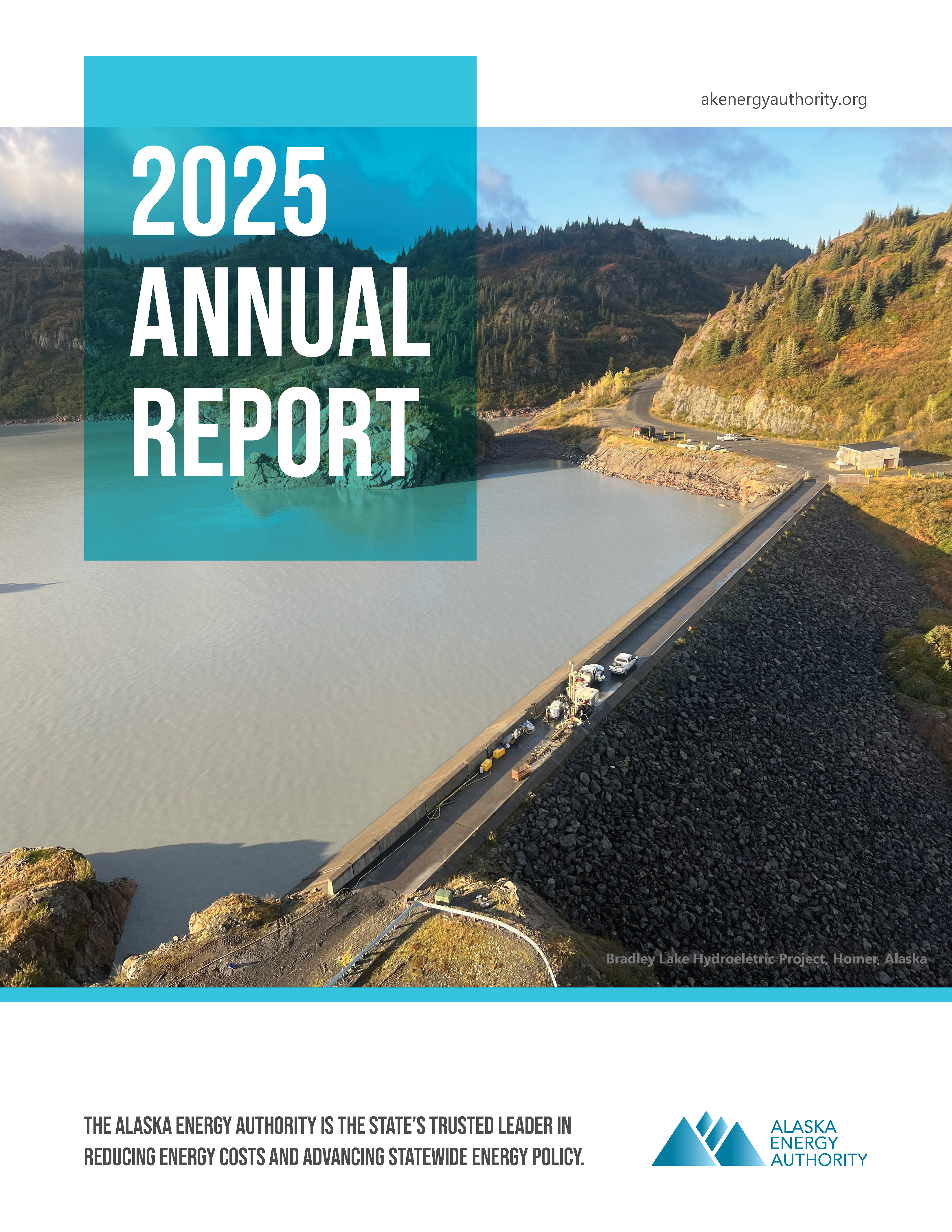 2025 AEA Annual Report cover
